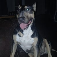 Rofty